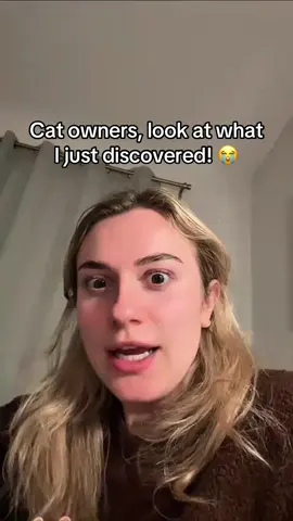 The best gift for cat owners 🥹❤️