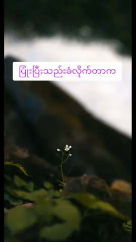 ပြုံးပြီးသည်းခံလိုက်တာက #motivation #စိတ်ခွန်အား #စိတ်ခွန်အားဖြစ်စေမယ့်စာစုလေးများ @စိတ်ခွန်အား 
