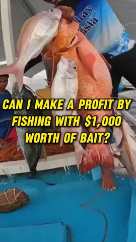 Can you make a profit by fishing with $1000 worth of bait#usa #fyp #foryoupage #foryou #tiktok #fishing #fun #sea 