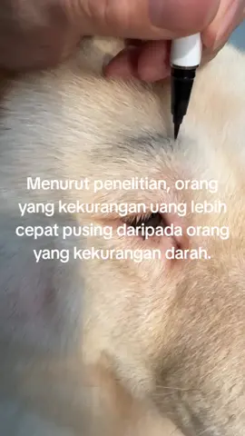 mitos atau fakta ?....😁