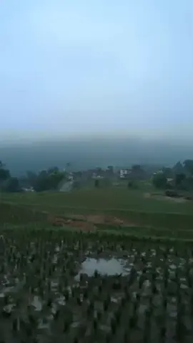 assalamualaikum  wilujeng siang Baraya TikTok  #pemandanganalam  #pesawahandipedesaan  #lagusundaviral  #fyp #fypシ゚ 