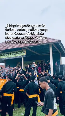 👌💛#pshw#pshwpusatmadiun#pshwtm1903#stk1903#fyp 