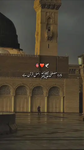 دُرُودِ پاک پڑھ لیں  صلی اللّٰہ علیہ وآلہ وسلّم  #foryou #foryoupage❤️❤️ #unfreezemyaccount #viral #fypviralシ 
