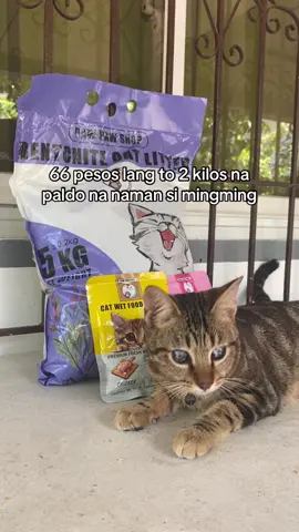66 pesos for 2kilos litter sand ni mingming soafer sulit quality pa yan sya 🐈✨ #catlittersand #pawpawtiktok #catsoftiktok #catslovers #littersand 