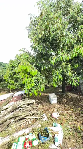 #xuhướng thay áo mới ❤️