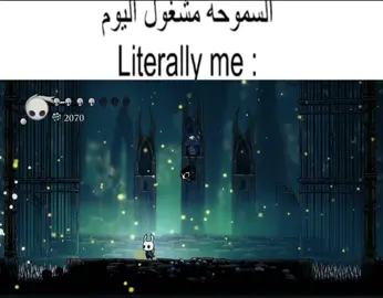 #CapCut #hollowknight #literally #viral #fyp 