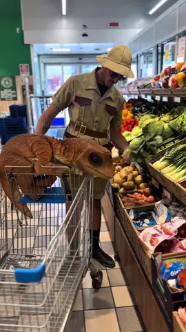 DIVERTITEVI IN VACANZA🥹#dinomaniaitalia #virale #fyp #jurassicpark #dog 