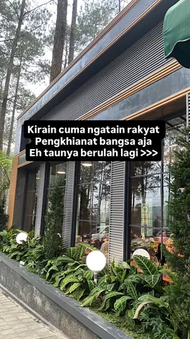 Kemaren nyuruh fokus ke DPR aja jangan kemana2 ,eh sekarang situ yang kemana2. Btw kok foto tikus2 nya ga dipajang juga mba ?  #salsaerwinta #dpr #demokrasi #presiden #indonesia🇮🇩 
