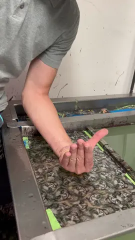 Hydro Dipping Hand #satisfyingvideo 