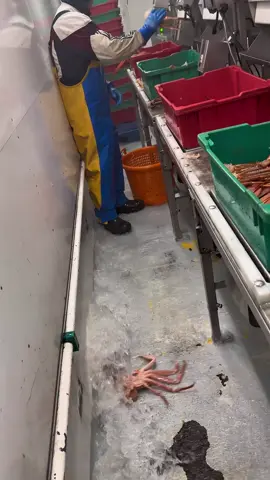 Информация в описании 