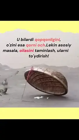 #Кайта,кайта куринг#