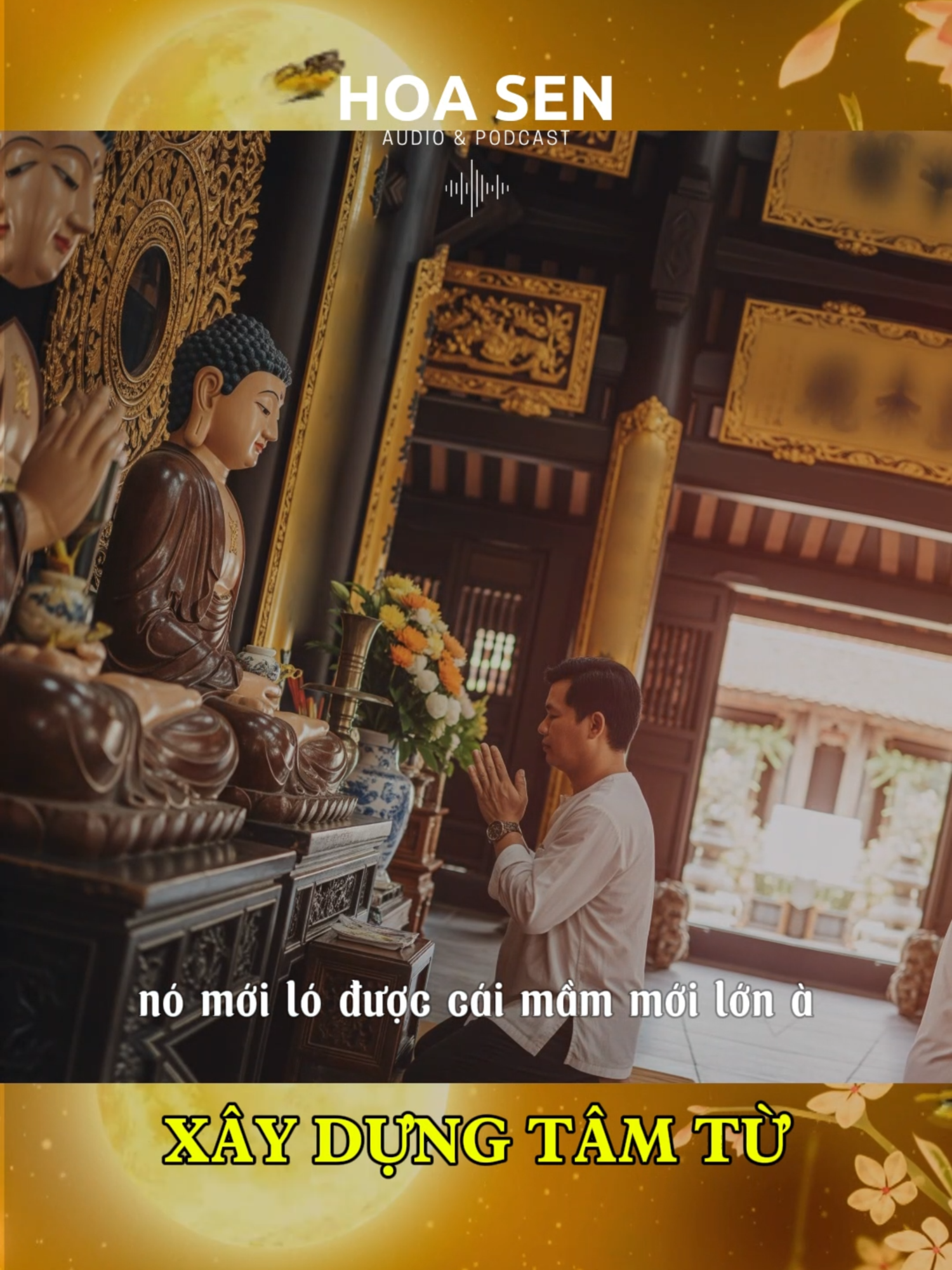 XÂY DỰNG TÂM TỪ #phatphapvadoisong #cauchuyenhay #phatphapnhiemmau🙏🙏🙏 #phatphapnhiemmau #longbieton #lytuongsong #nhanqua #tonkinhphat #hoasen #phatphap #yeunuoc