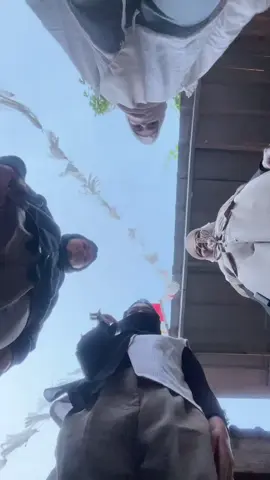 #trending #fyp #pendakipemula 