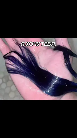 мечта #синиеволосы