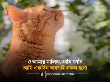 ও আমার মালিকন😭🥹 #monirul_islam206 