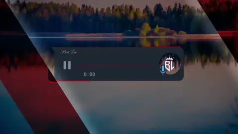 آهنگ ترکی#fyp #100k #song 