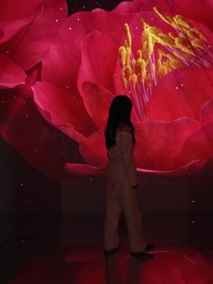 New York | Black Friday: 20% discount! Ready to awaken your senses?