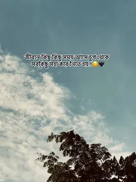 জীবনে কিছু কিছু সময় আসে চুপ থেকে  সবকিছু সহ্য করে নিতে হয়.!☺️🖤#reelsvideo #tiktokbangladesh🇧🇩 