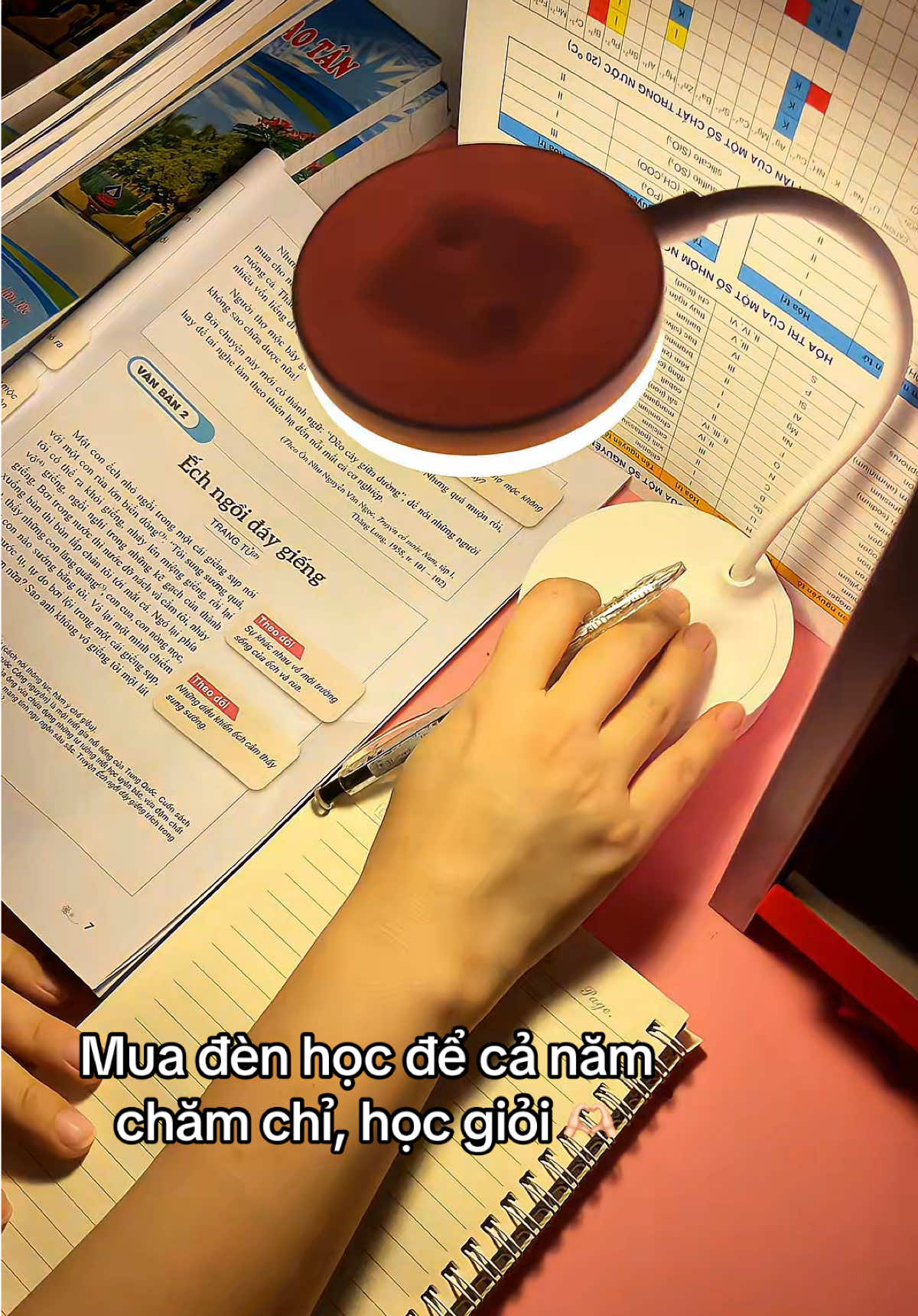 Mua đèn học để cả năm học giỏi. Ai chưa có đèn học giơ tay ✋🏻✋🏻✋🏻 #denhocdeban #denhocchongcan #denhoc3chedosang 