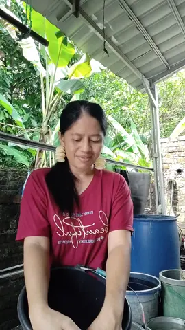 pokoke melu neng endi wae seng penting karo paksu🥰😁 #lipsync#fypviralシ#viralvideo  #trendingvidiotiktok 
