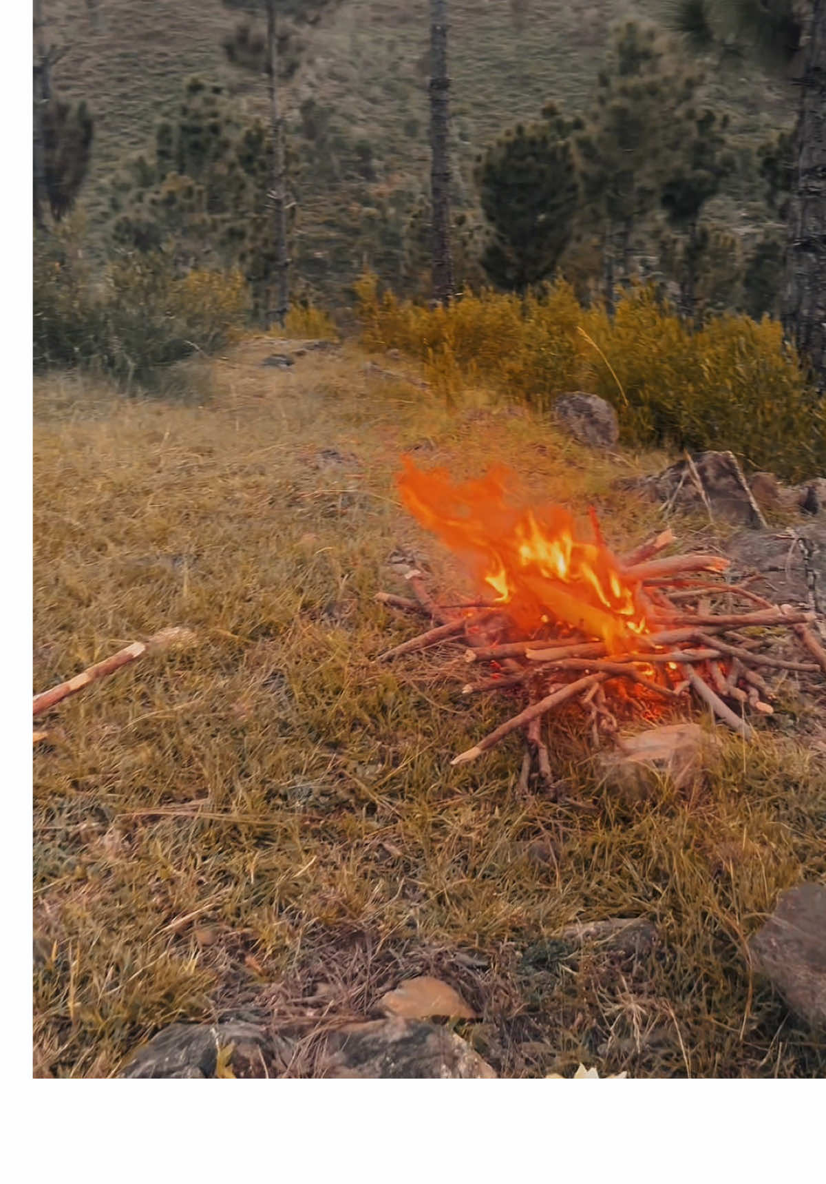 .❤️‍🩹🫀🥺🥺……#foryoupage #lines💔 #poshto_poetry #fyp #1millionaudition 