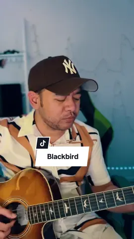 Blackbird #musiciansoftiktok #acousticcover 