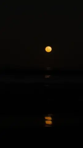 Love the beach at night 