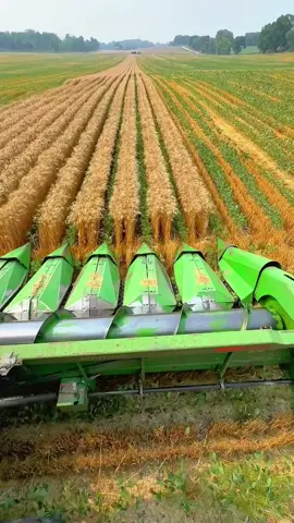 More efficient harvesting.😍#Harvester#Picki	 ng#Modern#Agricultural#agricultural#agriculturalmachines #robot
