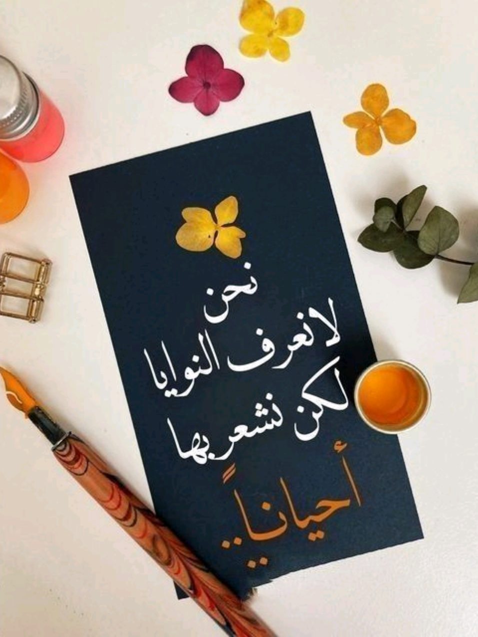 انا لا احب خساره احد #اكسبلور #حكم #اقوال #اقتباسات #خواطر 