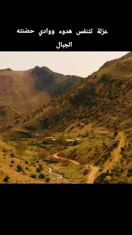 #جرد_بعلبك #like #foryou #explore #comment @وفيق حبيبwafeek-habi 