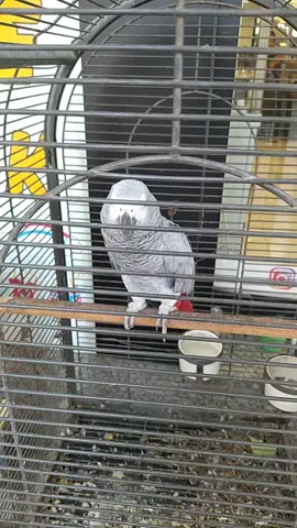 İskenderun çarşı #keşfet 