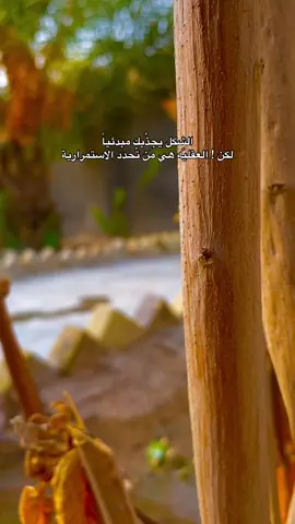الشكل يجذُبك مبدئياً لكن ! العقليّه هي مَن تُحدد الاستمرارية