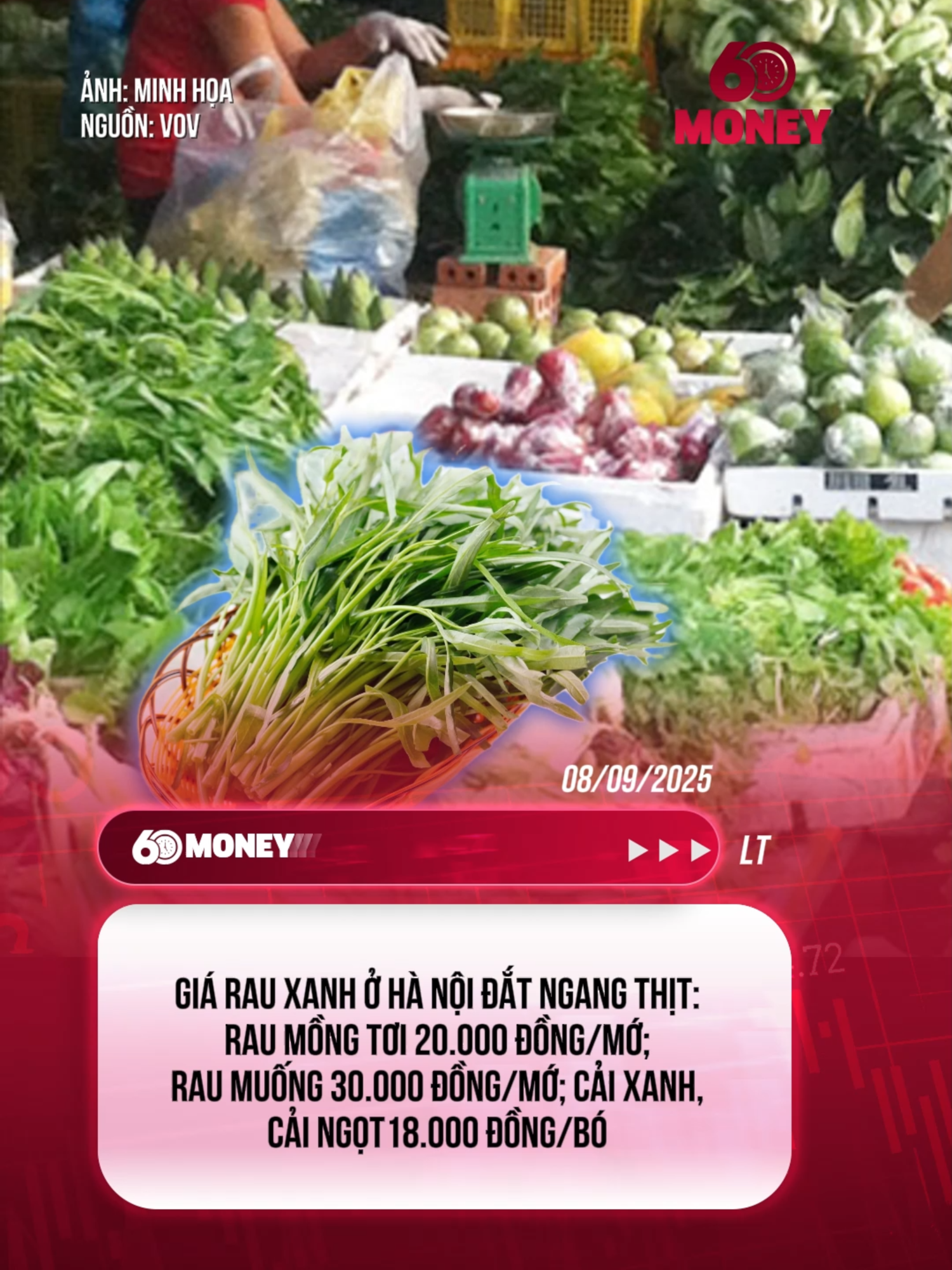 Giá rau xanh ở Hà Nội đắt ngang thịt khiến người dân chóng mặt #tiktoknews #60giaytaichinhtieudung #60smoney #rau
