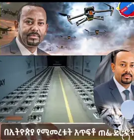 በኢትዮጵያ  የሚመረቱት አጥፍቶ  ጠፌ ድሮኖች