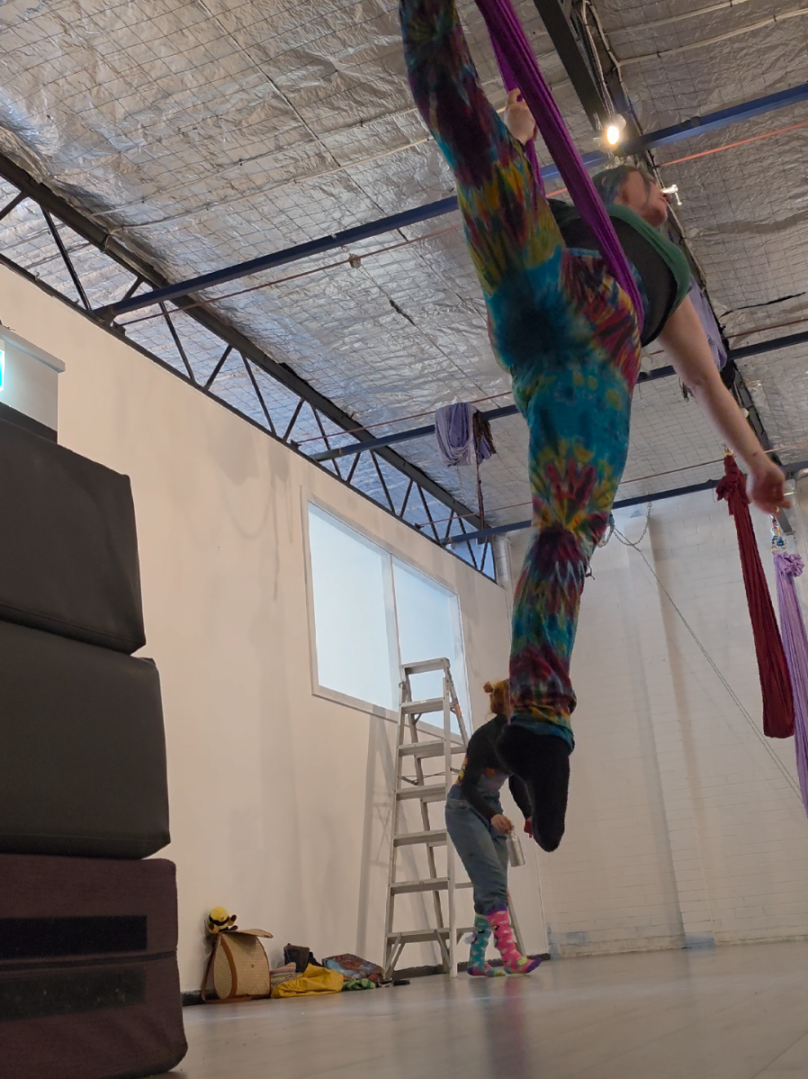 🥰🌼🌸 #aerialhammock #growth 