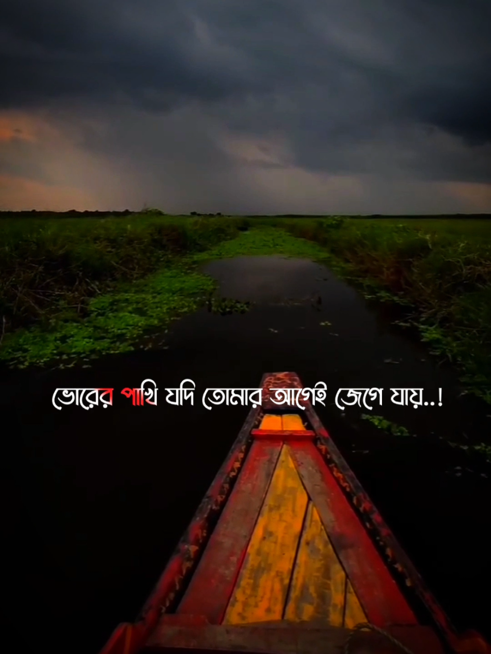 #CapCut ভোরের পাখি যদি তোমার আগেই উঠে যায় তাহলে তুমি ব্যর্থ #unfrezzmyaccount #foryou #fyp 