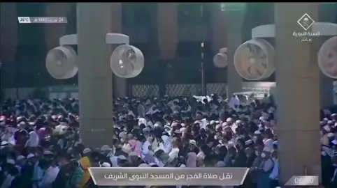 روعة التلاوة بمقام العجم – الشيخ أحمد بن طالب #سورة_الإنسان #احمد_بن_طالب #اجر_لي_ولكم_ولوالدينا_وللمسلمين #لايك 