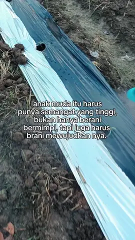 buktikan bahwa kita mampu!!  #fyppppppppppppppppppppppp #pemudasektorpertanian #petanimilenialindonesia #petanisemangka🍉🍉 #bosmuda 