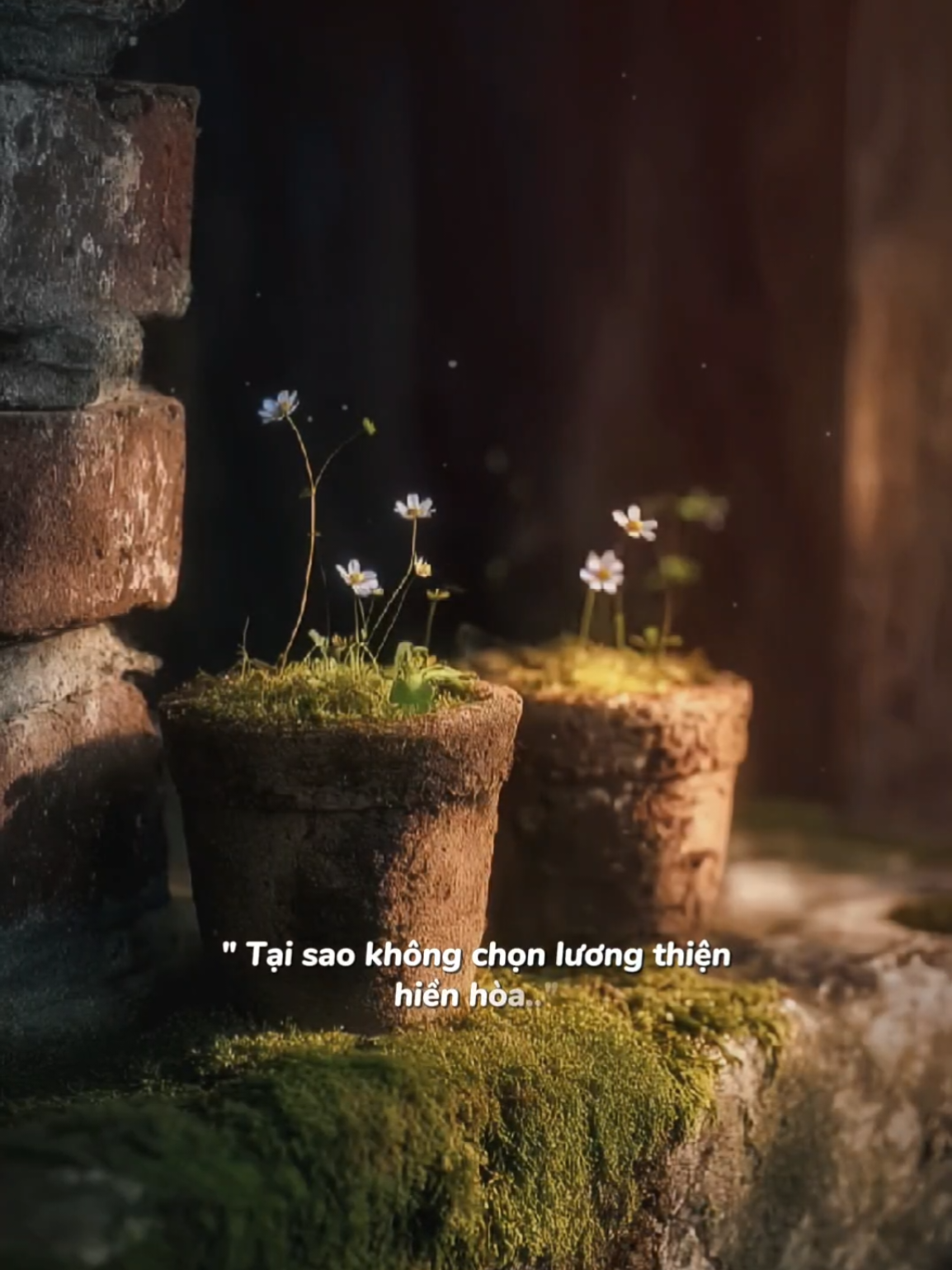 Ta chẳng biết ngày mai còn hay mất... #nhachaymoingay #podcast 