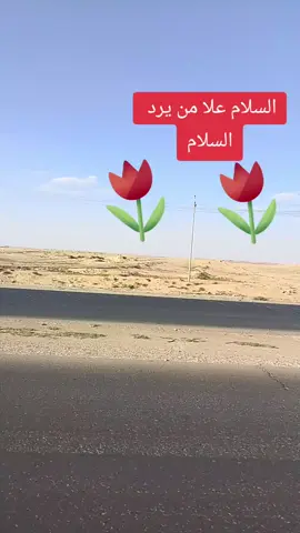 #موصل 