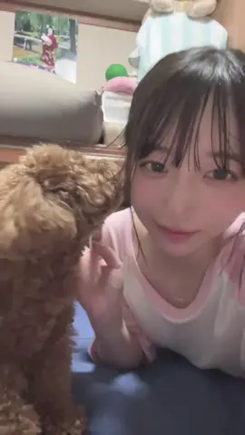 お散歩してきて汗かいた！