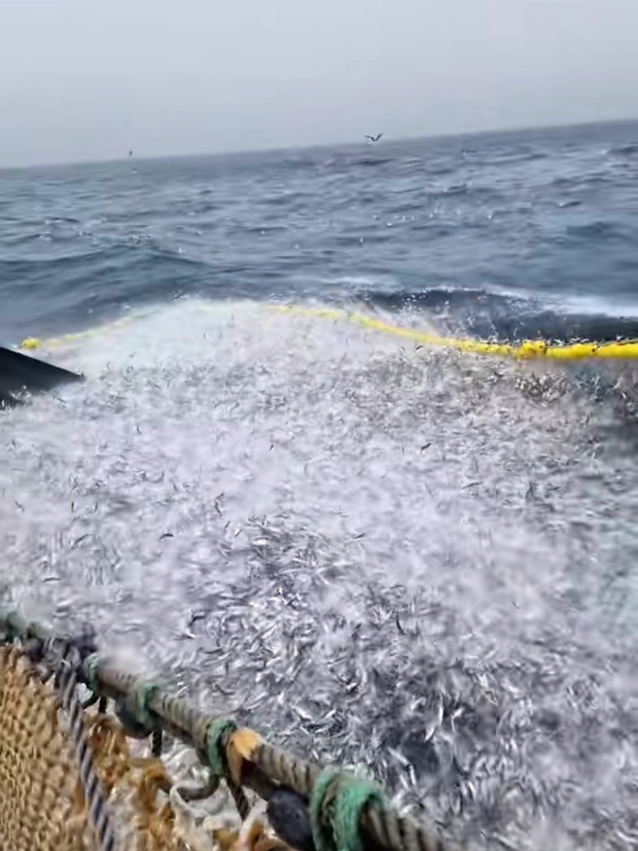 #رؤوس_الجبال #كمزار #مسندم #كنعد #كنعد 