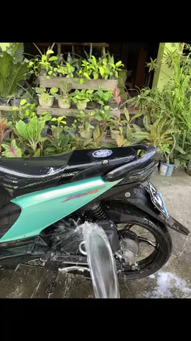 alamak yaping pulak dia #beat #trend #beatkarbumodifikasi 
