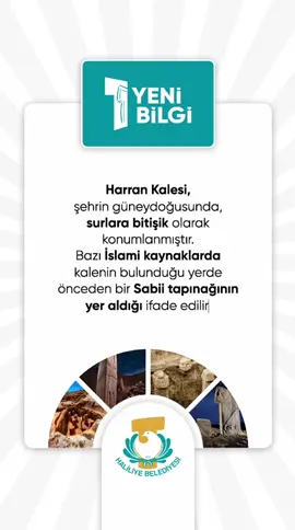 BİR YENİ BİLGİ | 📮 Şanlıurfa’mızın bilinmeyen yönlerini keşfetmeye hazır mısınız?