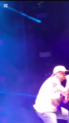 #fypppppppppppppp #chrisbreezy 