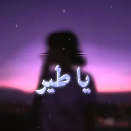 يا طير دنيا تدور بيك #شعب_الصيني_ماله_حل  #صانع_الفيديوهات_على_شاشة  #اغنيه_عراقيه_قديمه✨ 