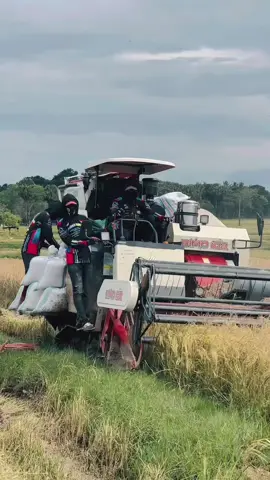 Jersey @Indonesian Speed yg stell😍 #operatorcombineharvester #combineharvester #maxxibimo102ss 