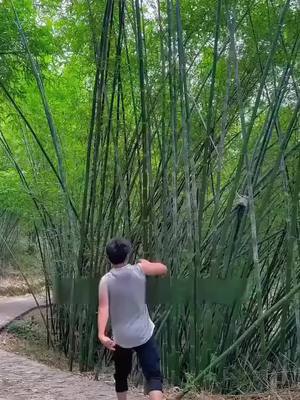 شاهد أروع المسلسلات القصيرة المتنوعة على RapidTV – دراما، تشويق ورومانسية بجودة سينمائية!