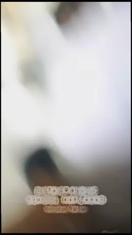#CapCut 