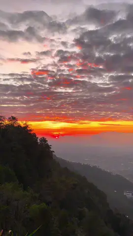 Sunrise + Somebody’s pleasure 🥀 #sunriseview #somebodyspleasure🥀 